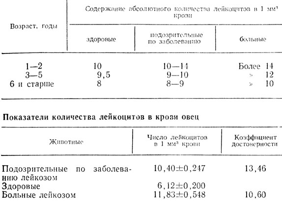 Гематологический ключ для диагностики лейкоза у овец (по А. А. Кунакову)