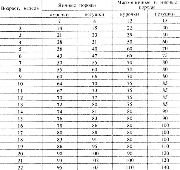 Таблица 31 Ориентировочные нормы скармливания полнорационных комбикормов молодняку кур (г на голову в сутки)