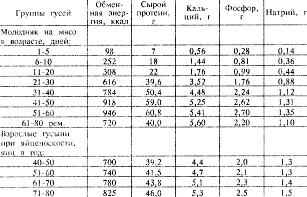 Таблица 42 Ориентировочная потребность гусей в обменной энергии и питательных элементах (на голову в сутки)