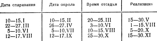 Таблица 13. Производственный календарь племенной кролиководческой фермы ('Бирюлинский' зверосовхоз)