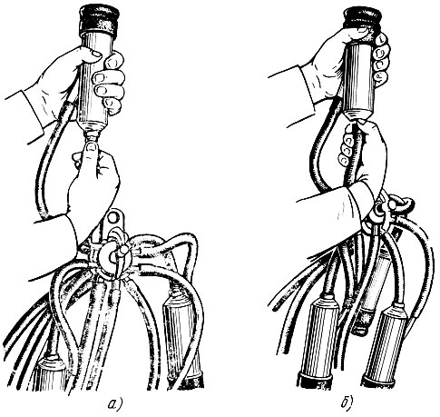Рис. 65. Натяжение сосковой резины перед дойкой (а) и ослабление сосковой резины после дойки (б)