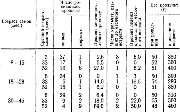 Таблица 26. Эмбриональная и постэмбриональная выживаемость и вес потомства кроликов породы шиншилла в зависимости от возраста родителей (по данным М. М. Асланяна и М. Асланян, 1958 г.)