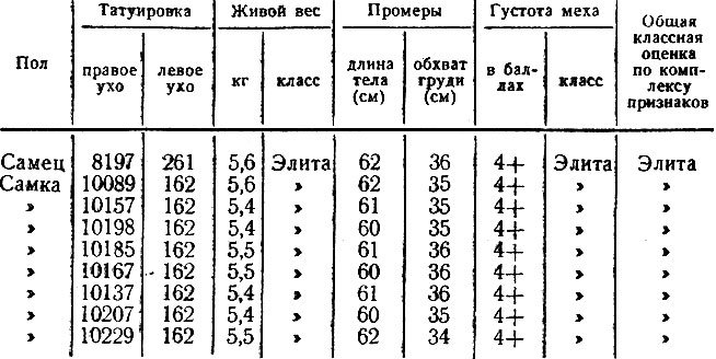 Таблица 47. Однородный подбор кроликов по комплексу хозяйственно полезных признаков на ферме Бирюлинского совхоза в 1963 г.