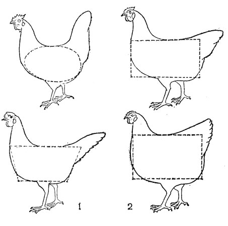 Рис. 13. Продуктивные типы кур: 1 - яичный; 2 - мясо-яичный и мясной.