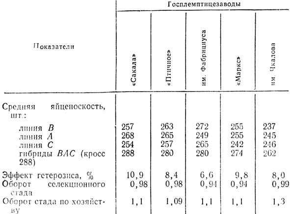 Таблица 15. Яйценоскость линейной и гибридной птицы (данные за 1972 г.)