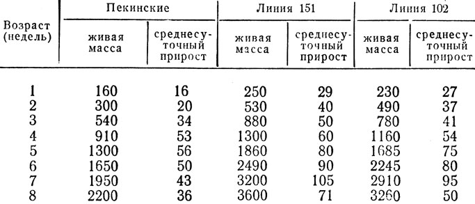 Ориентировочные показатели продуктивности утят-бройлеров (г) (по данным Малодубенской птицефабрики)